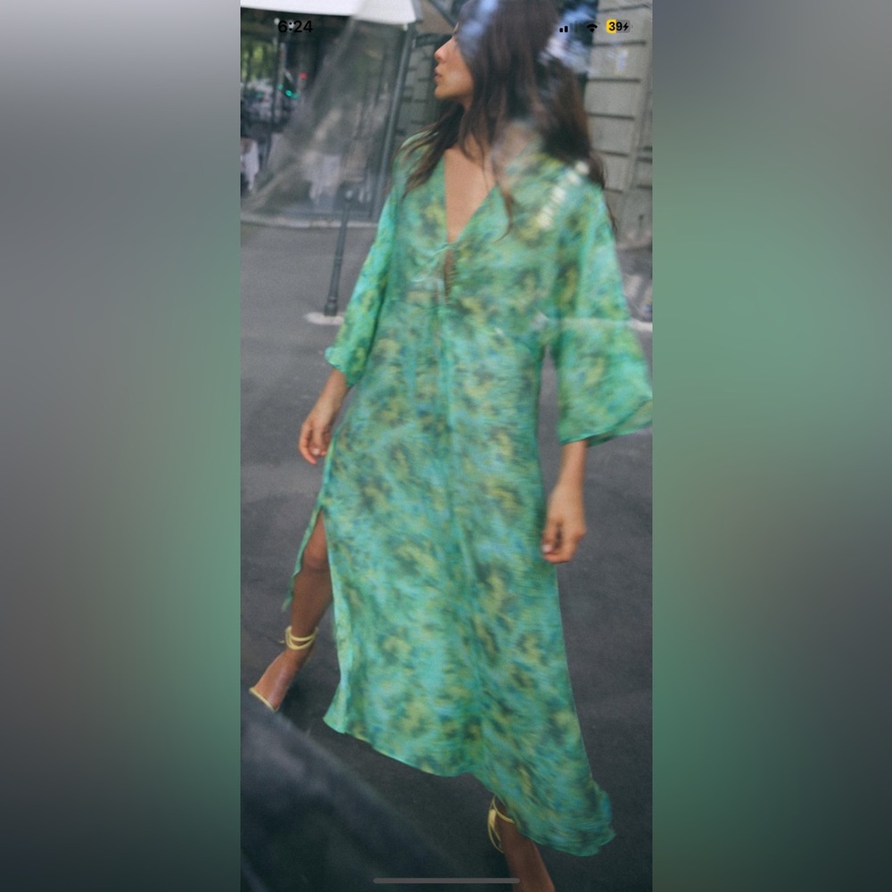 Zara Printed Beaded Dress